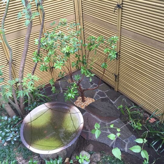 施工写真