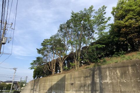 施工後