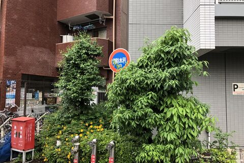 施工前