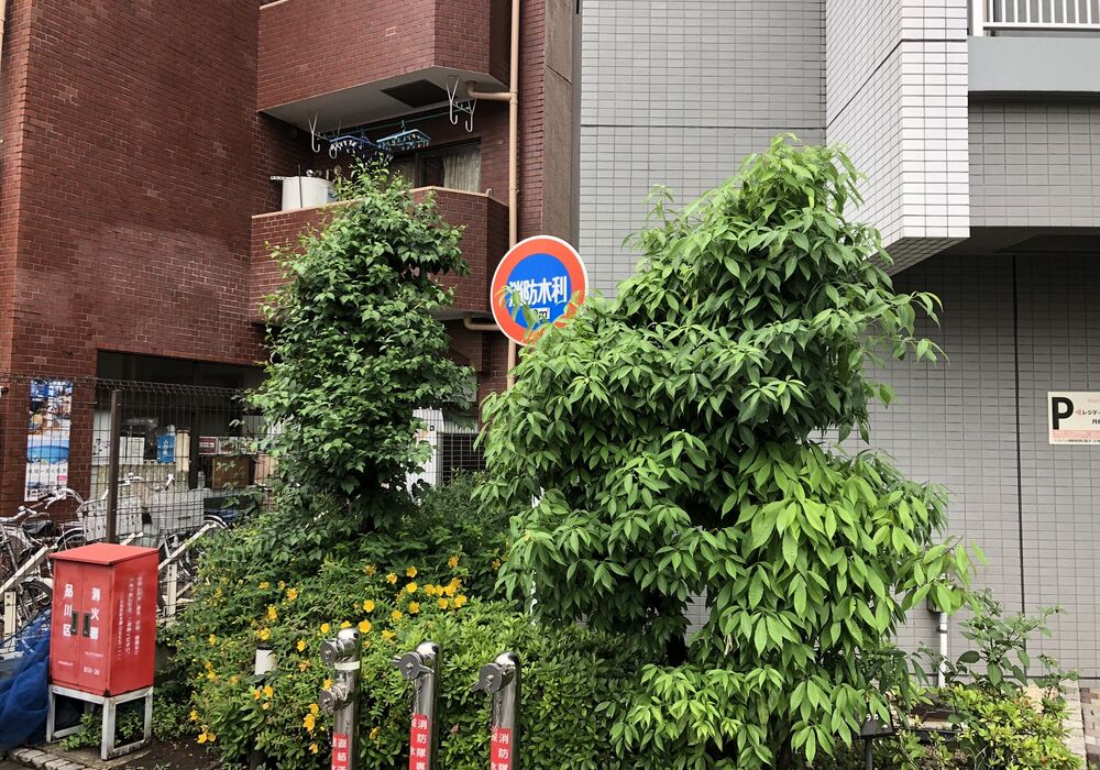 施工写真
