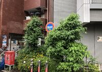 施工写真