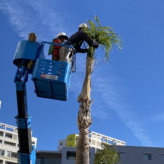 97A2FACC-7ADB-4AA8-B32C-692AE6EBF265